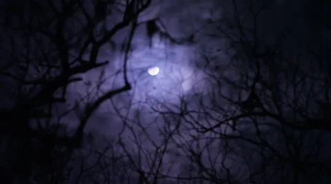 Moon Though Clouds and Trees—Background in Focus Vidéo 42147433