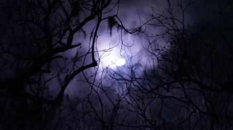 Moon Though Clouds and Trees—Foreground in Focus Vidéo 42243231