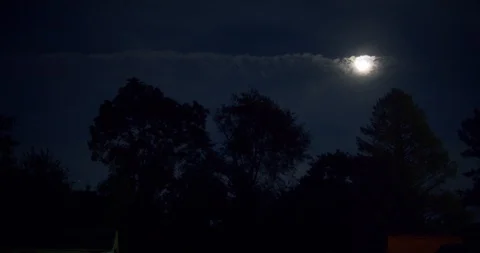 Moon Through Clouds with Tree silhouettes Stock Footage 128322449