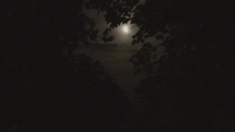 Moon through trees clouds tracking shot constant focus Stock Footage 86921758