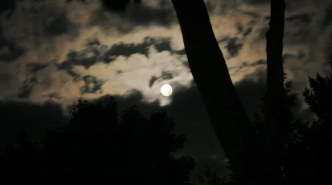 Moon Through Trees Timelapse Stock Footage 758847