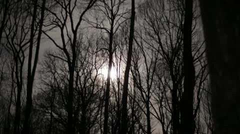 Moon time lapse 스톡 동영상 11893352