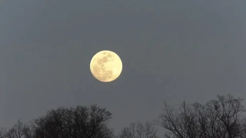 Moon Time Lapse Rising Above Trees Stock Footage 73426283