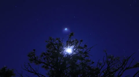 Moon time lapse through tree branch 動画素材 37622624