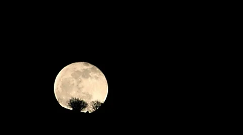 Moon timelapse close up night Stockbeeldmateriaal 36331558