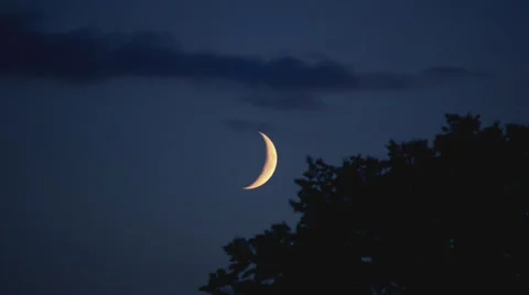 Moon timelapse with clouds and tree Vídeos de archivo 30319553