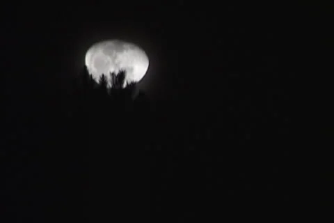 Moon Timelapse Vídeo Stock 1047476