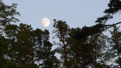 Moon timelapse Stock Footage 27493704