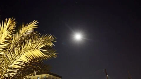Moon Timelapse Night Sky With Palm Tree Vídeos de archivo 133384113