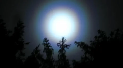 Moon Timelapse over Silhouette Trees Stock Footage