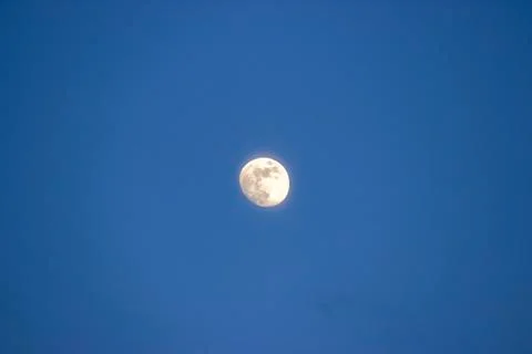 Moon twilight Stock Photos