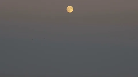 Moon under the ocean resort Stock Footage 81723914