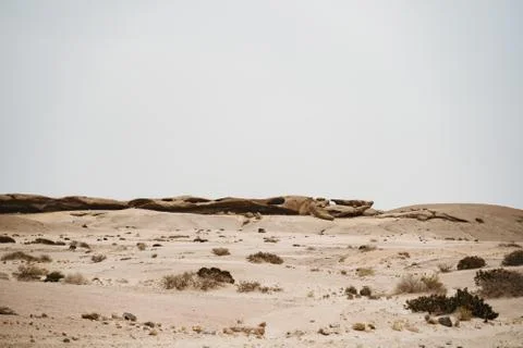 Moon Valley or Valle De La Luna canyon with eroded sandstone spikes panorama Photos