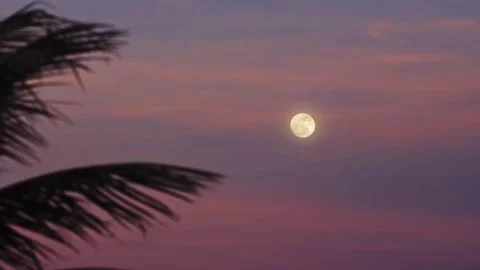 Moon view Stock Footage 154841584