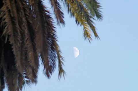 Moon view Stock Photos