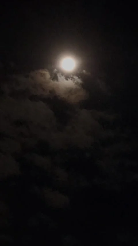 Moon View, Vertical 動画素材 280474361