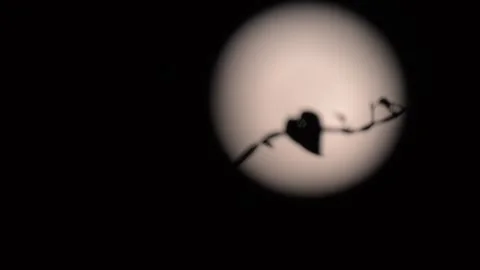 Moon with Vine Silhouette Rack Focus Sharp to Blurry Stock-Footage 345031282
