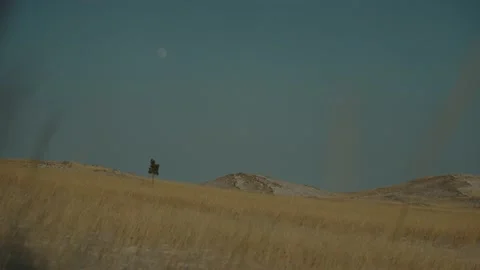 The Moon is Visible During the Day on a Blue Sky over Tazheran Steppes, Siberia Stock Footage 232017182
