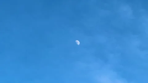 The moon is white in daylight against a bright blue sky Stock Footage 312518472