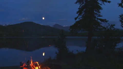 Moonbeam, Campfire, Lake, and Tree Vídeo Stock 8521075