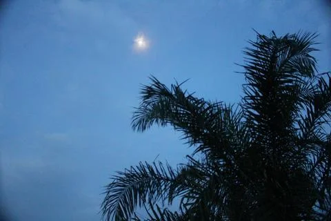 Moonlight in the afternoon Stock Photos