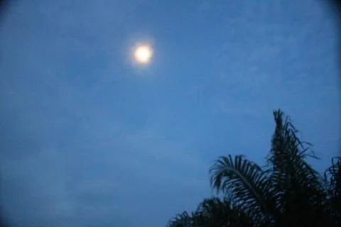 Moonlight in the afternoon Stock Photos