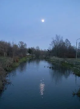 Moonlight and floating ducks in the river and floating ducks in winter Stock Photos