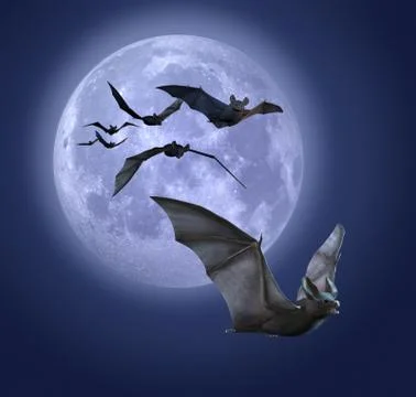 Moonlight Bats Stock Illustration
