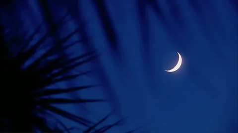 Moonlight Beach Stock Footage 7762335