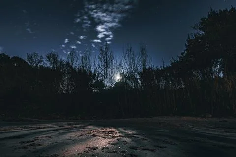 Moonlight on the beach Stock Photos