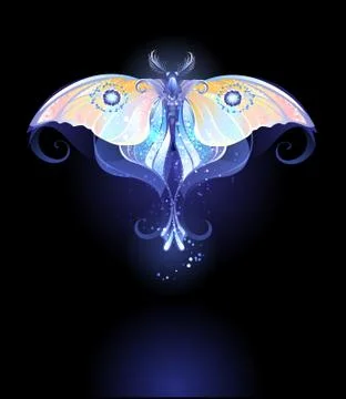 Moonlight Butterfly Stock Illustration