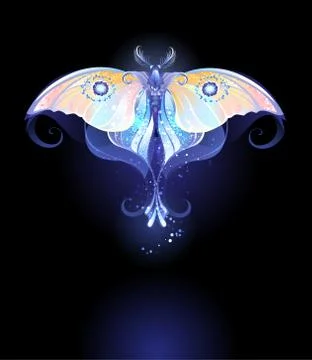 Moonlight Butterfly Stock Illustration