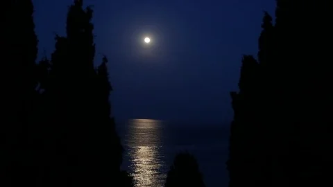 Moonlight calmness Stock Footage 108540130