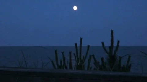 Moonlight Cape Cod Stock Footage 771281