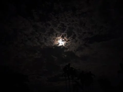In the moonlight on a cloudy sky Fotos Stock