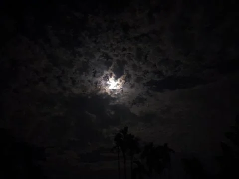 In the moonlight on a cloudy sky. Stock Photos