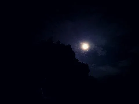 Moonlight in the dark night. Stock Photos