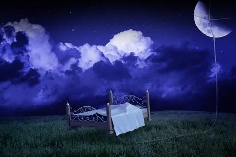Moonlight dreams Stock Illustration