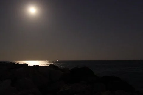 Moonlight Stock Footage 366256