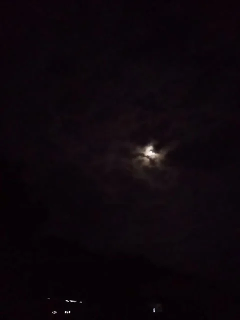 Moonlight Stock Footage 237294671