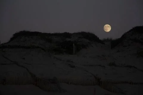 Moonlight in the middle of the dunes Stock Photos