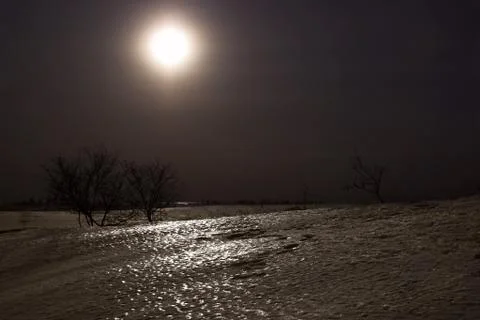 Moonlight night Foto stock