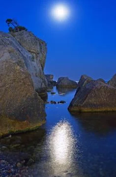 Moonlight night Stock Photos