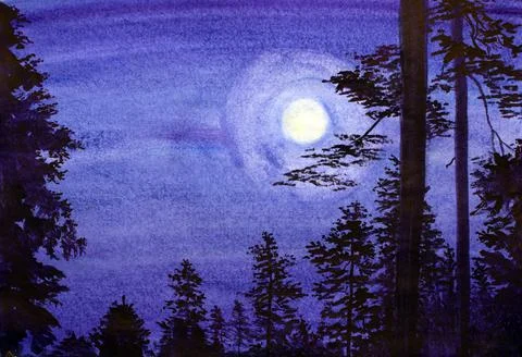Moonlight over night forest Stock Illustration