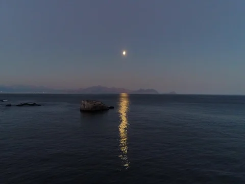 Moonlight over Ocean and Rock with Sea Birds and Animals in Cape Town Stock Footage 79149663