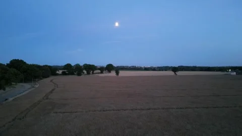 Moonlight Over Wheatfield Stock Footage 262050073
