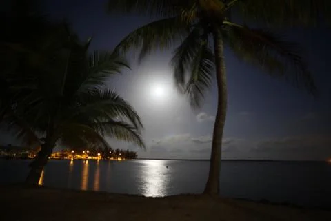 Moonlight Stock Photos