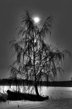 Moonlight Foto stock