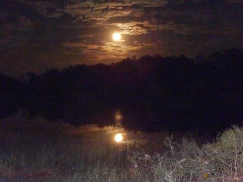 Moonlight Stock Photos