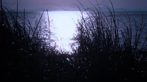 Moonlight reflection on the sea Stock Footage 68881294